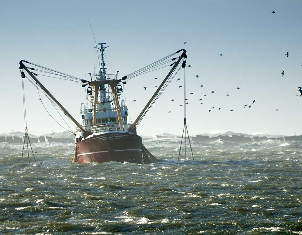 Embarcações de pesca oceânica
